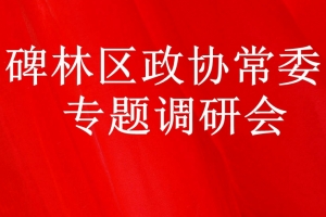 李元彬会长参加碑林区政协常委专题调研会