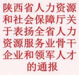 陕西省人力资源和社会保障厅关于表扬全省人力资源服务业骨干企业和领军人才的通报